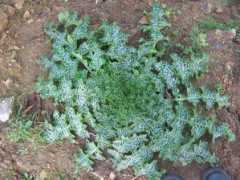 kelionenn.blogs.letelegramme.com Senegri