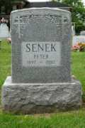 rootsweb.ancestry.com Senek