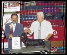 djao.com.br Seneor