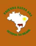 senepolnobrasil.com Senepol