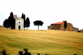 Senese