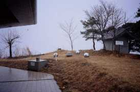 gainendesign.com Sengan