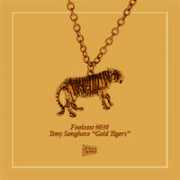 foolsgoldrecs.libsyn.com Senghore