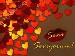 Seniseviyorum