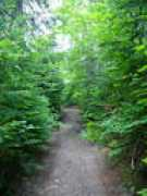 grottedesfees.org Sentier