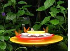 patletendre.com Sentineal