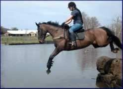 teamwindchase.com Sentineal