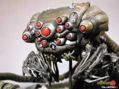 collectiondx.com Sentinel