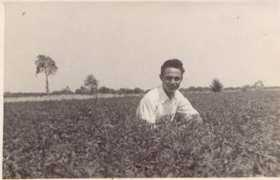 Senzio