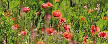 durance.com.tr Sepetim