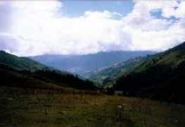 Sephu
