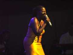 jazzchicago.net Sephuma