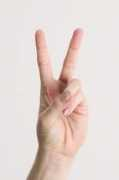 peacelink.it Serali