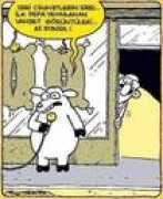 Serdem