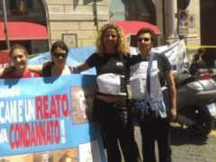 amicicani.com Seregio