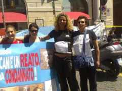 amicicani.com Seregio