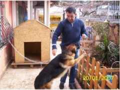 blog.milliyet.com.tr Serhatt