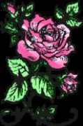 Serose