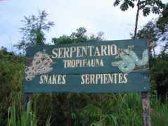 Serpentario