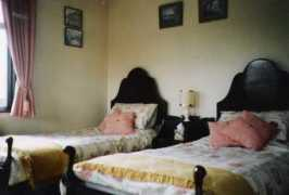 edenbandb.com Serpini