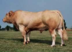 blog.deluxe.fr Sersia