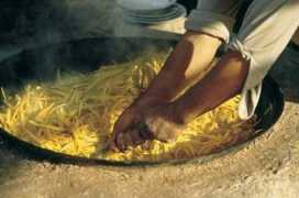 discovery-central-asia.com Sesaro