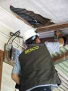 Sesco