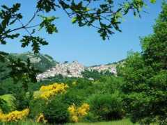 panoramio.com Sesera