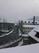 panoramio.com Sesir