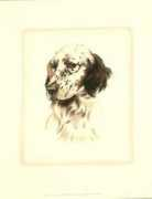 Setter