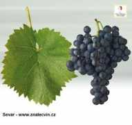 Sevar