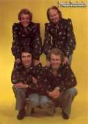 svenskadansband.se Sewes
