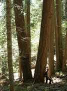 oregonwild.org Sextion