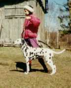 Seyla