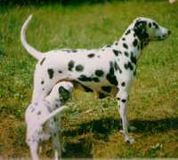Seyla