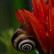 fotokritik.com Sezmen