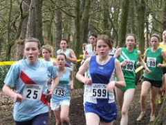 esaa.net Sgj