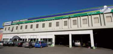 sgualdpneu.com Sgualdino