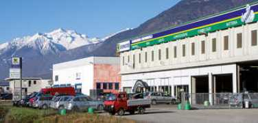 sgualdpneu.com Sgualdino