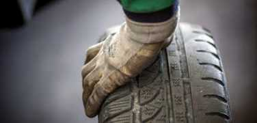 sgualdpneu.com Sgualdino