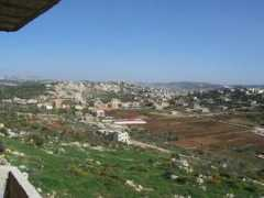 Shaab