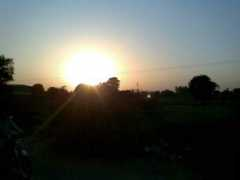 Shaam