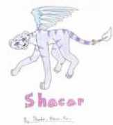 Shacar