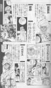 kokorononaka.net Shadis