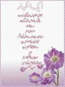 pakpressclub.com Shaeri