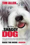 Shaggydog