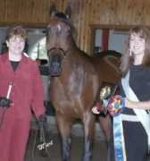 knrarabians.com Shahnia