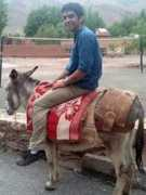 Shahob