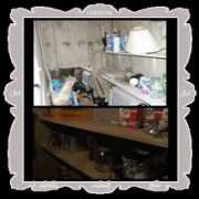 q8yat.com Shaier