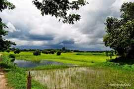 panoramio.com Shailan
